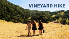 Vineyard Hike 2023 Member